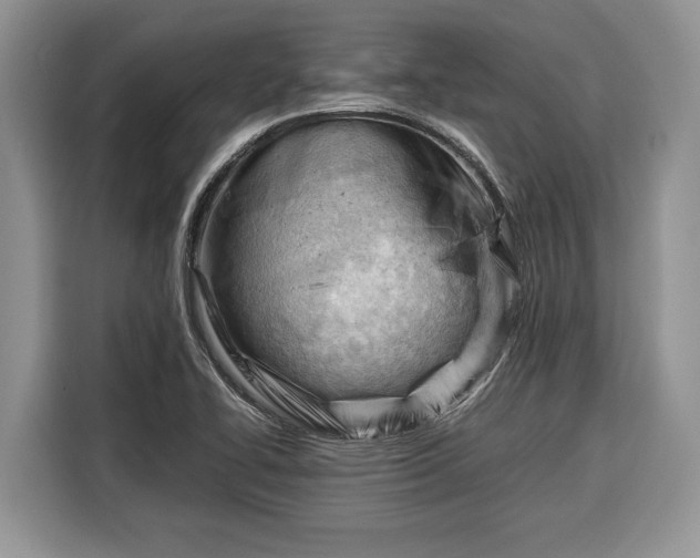 X0000116371414200912091228