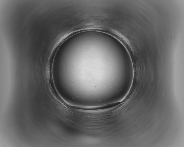 X0000116371415200912091228