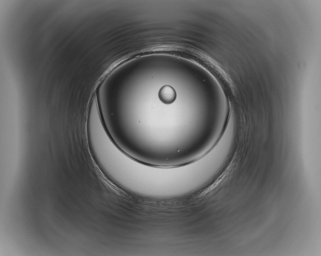 X0000116371417200912091228