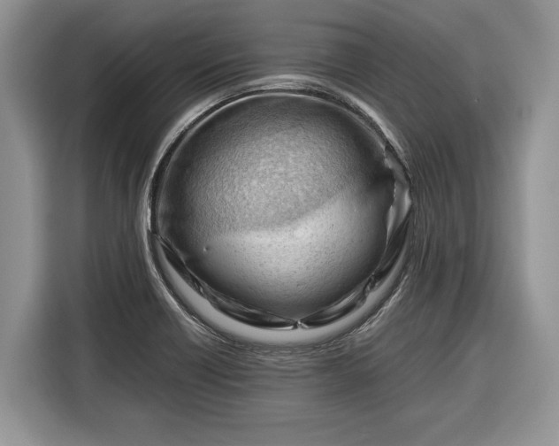 X0000116371418200912091228