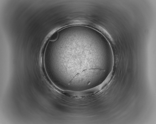 X0000116371419200912091228