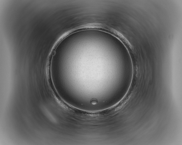 X0000116371421200912091228