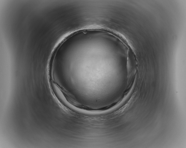 X0000116371422200912091228