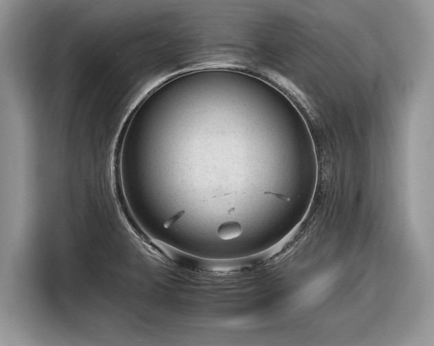 X0000116371423200912091228