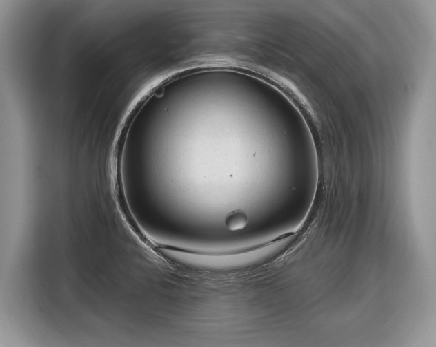 X0000116371424200912091228