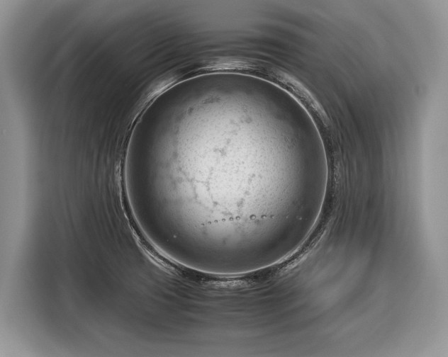 X0000116371425200912091228