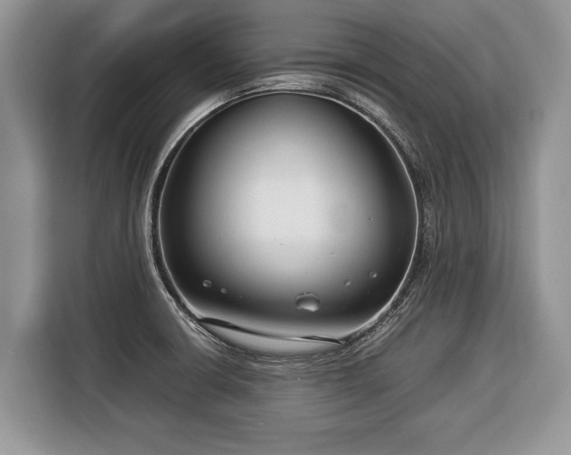 X0000116371426200912091228