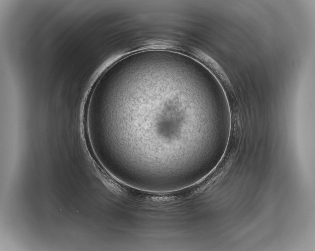 X0000116371427200912091228