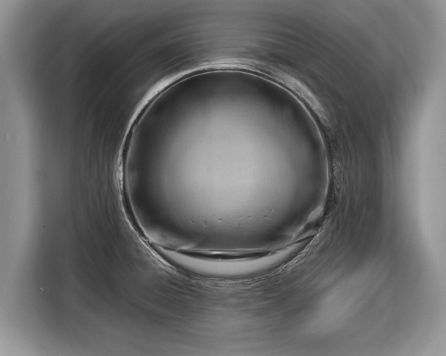 X0000116371428200912091229