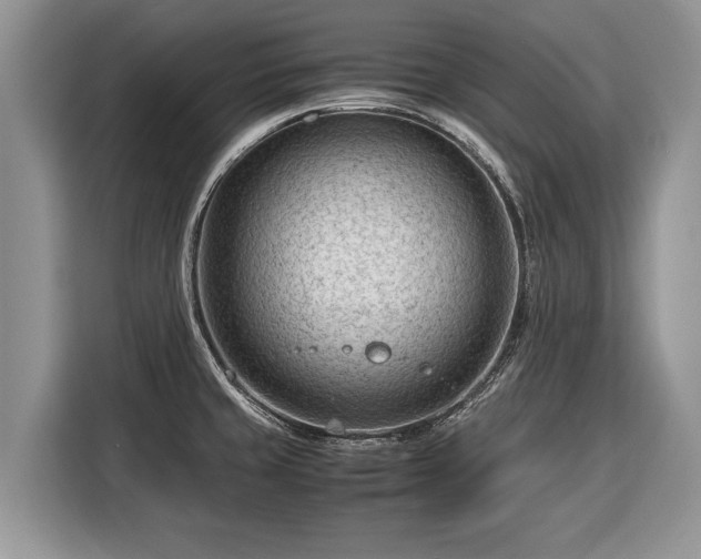X0000116371429200912091229