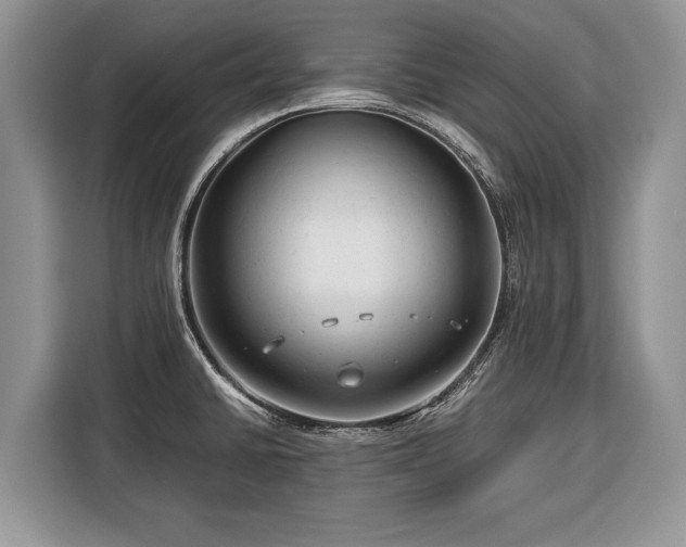 X0000116371430200912091229