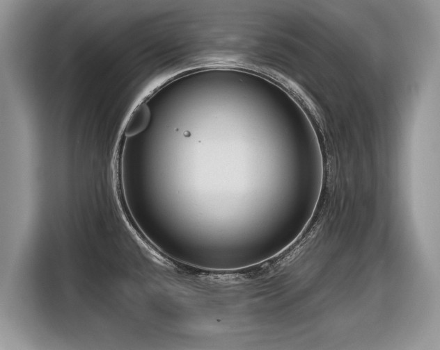 X0000116371432200912091229