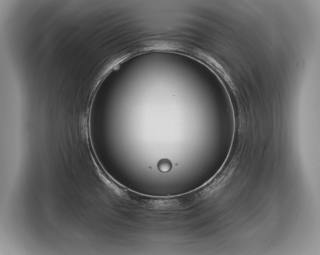 X0000116371433200912091229