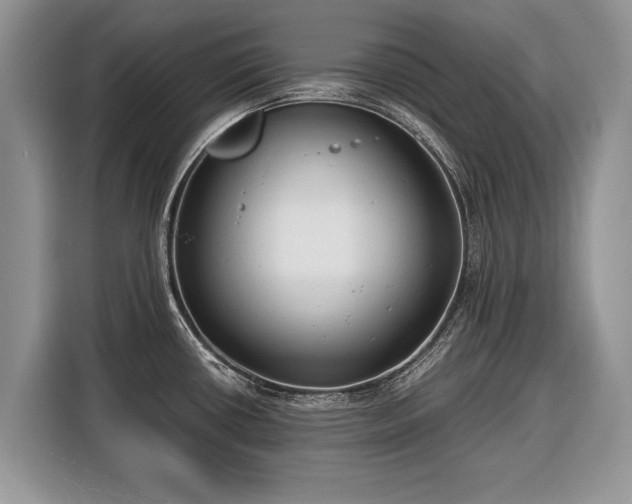 X0000116371434200912091229