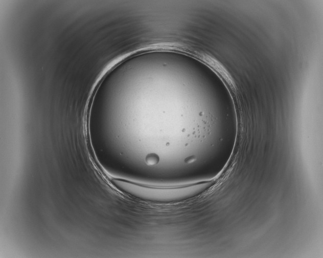 X0000116371436200912091229