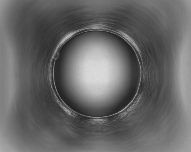 X0000116371437200912091229