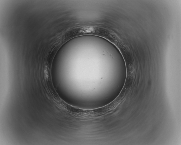 X0000116371442200912091228