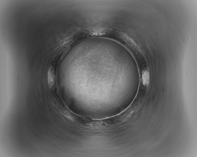 X0000116371444200912091228