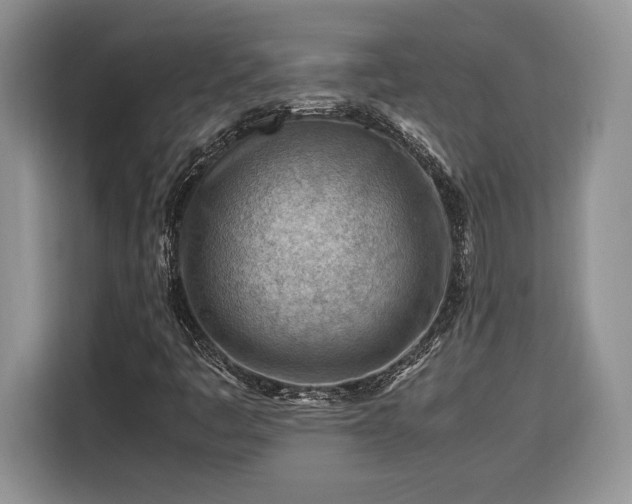 X0000116371445200912091228