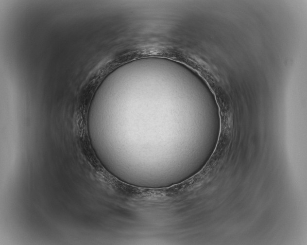 X0000116371446200912091228