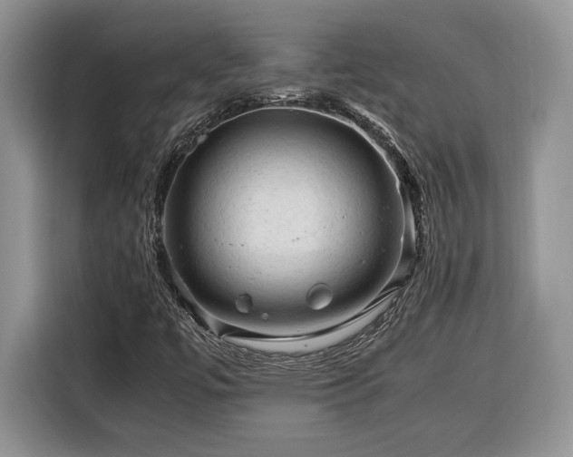 X0000116371447200912091228