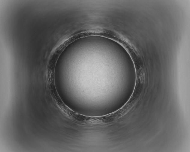 X0000116371448200912091228