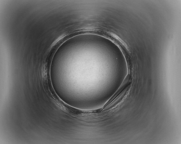 X0000116371450200912091228
