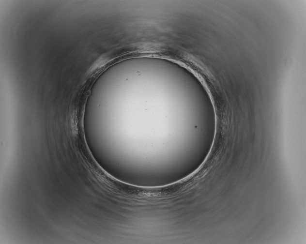 X0000116371451200912091228
