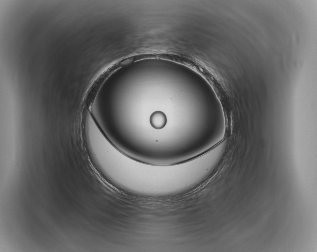 X0000116371452200912091228