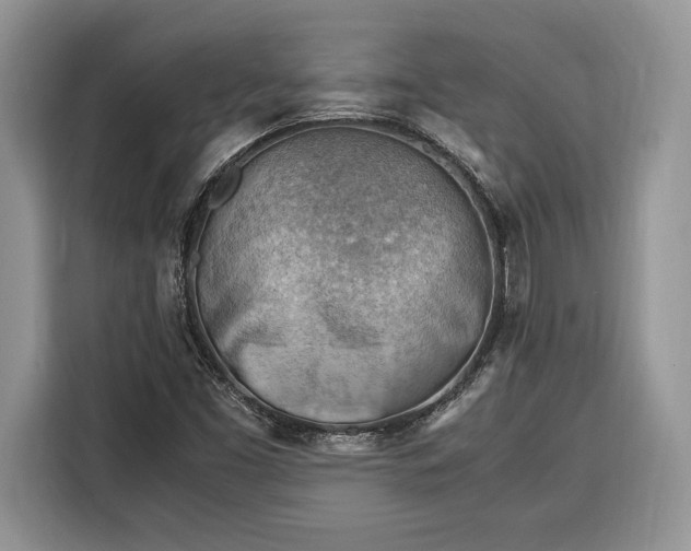 X0000116371453200912091228