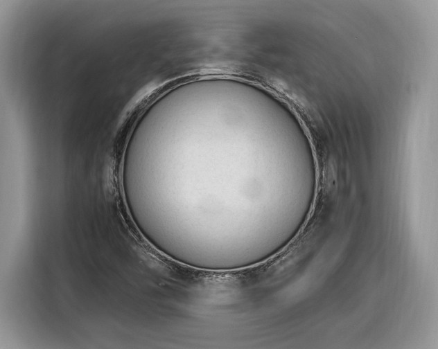 X0000116371454200912091228