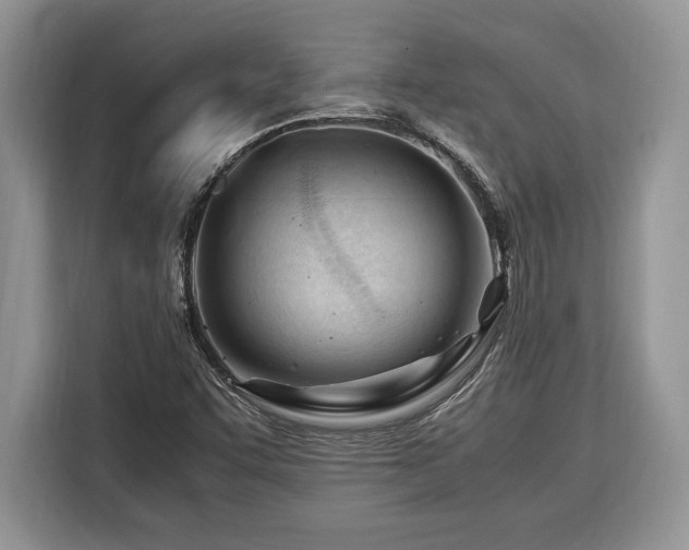 X0000116371455200912091228