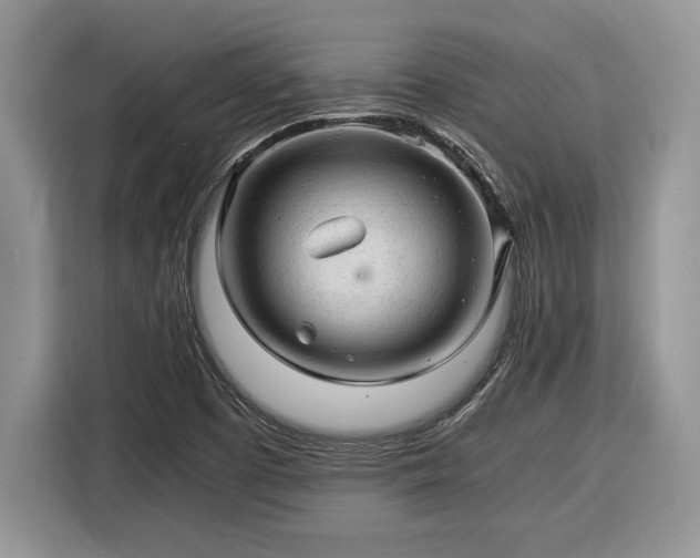 X0000116371457200912091228