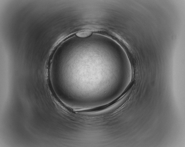 X0000116371459200912091228