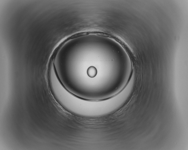 X0000116371460200912091228