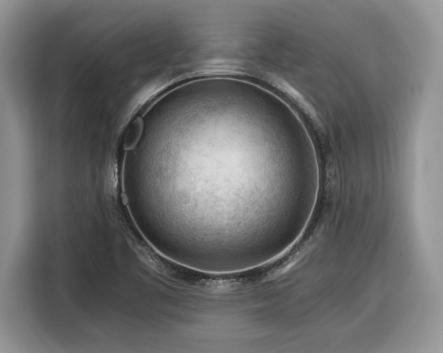 X0000116371461200912091228