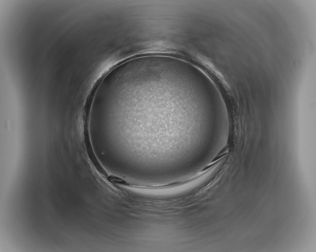 X0000116371463200912091228