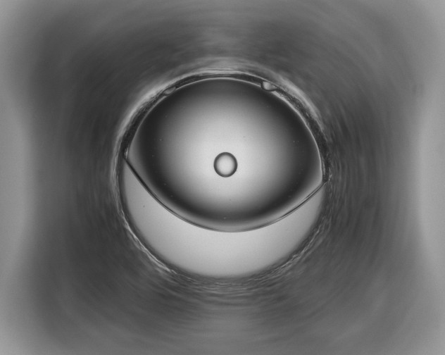 X0000116371464200912091228