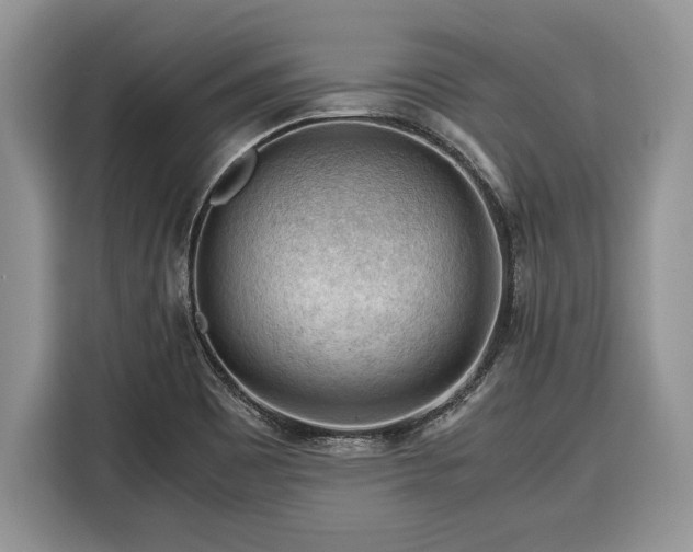 X0000116371465200912091228