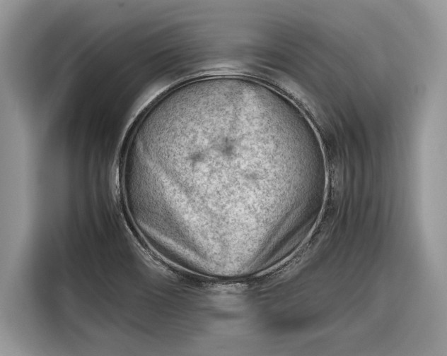 X0000116371466200912091228