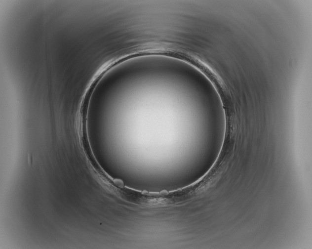 X0000116371467200912091228