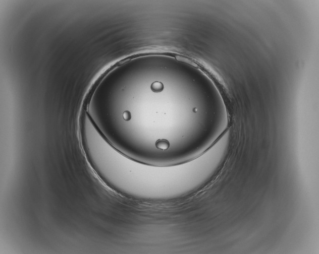 X0000116371468200912091228