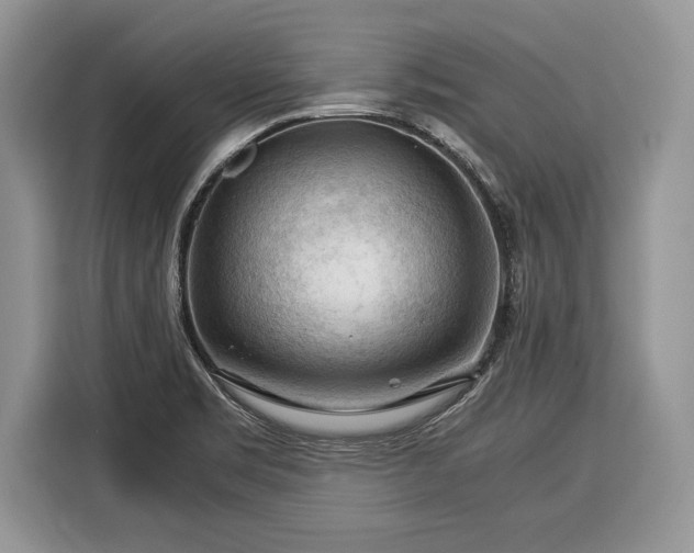 X0000116371469200912091228