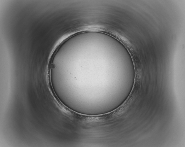 X0000116371470200912091228