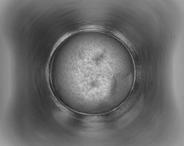 X0000116371474200912091228