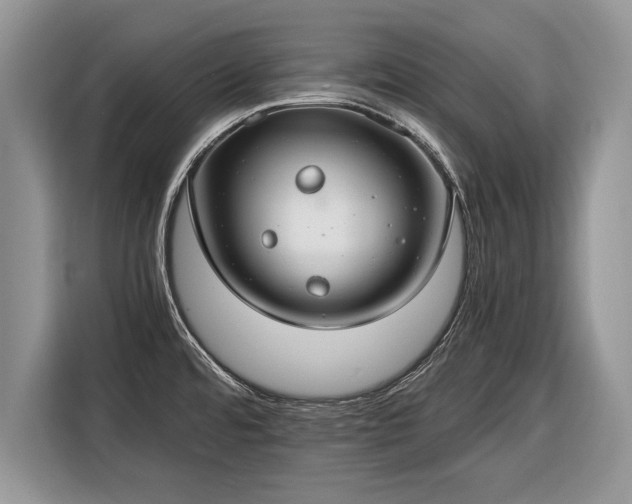 X0000116371480200912091228