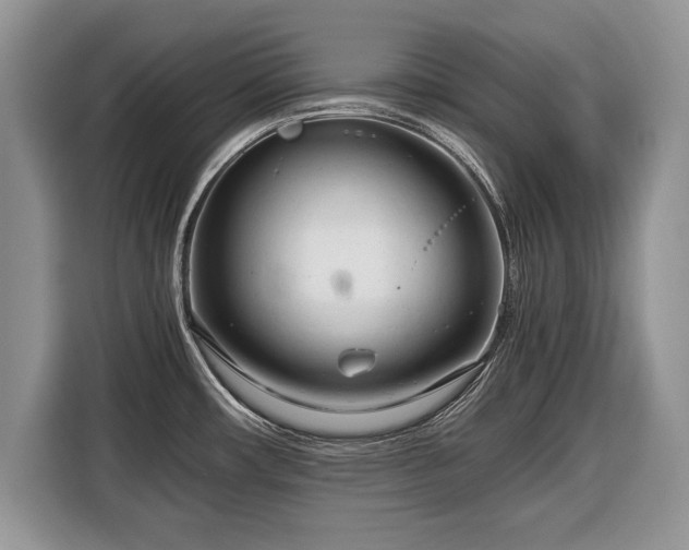 X0000116371482200912091228