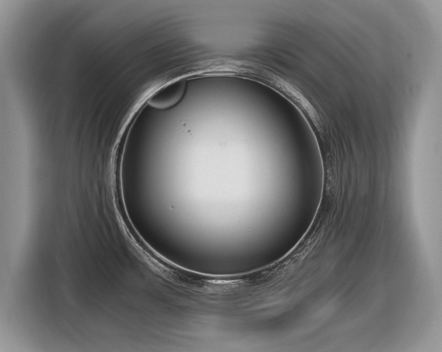 X0000116371483200912091227