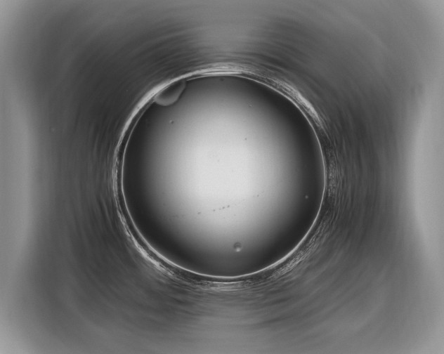 X0000116371484200912091227