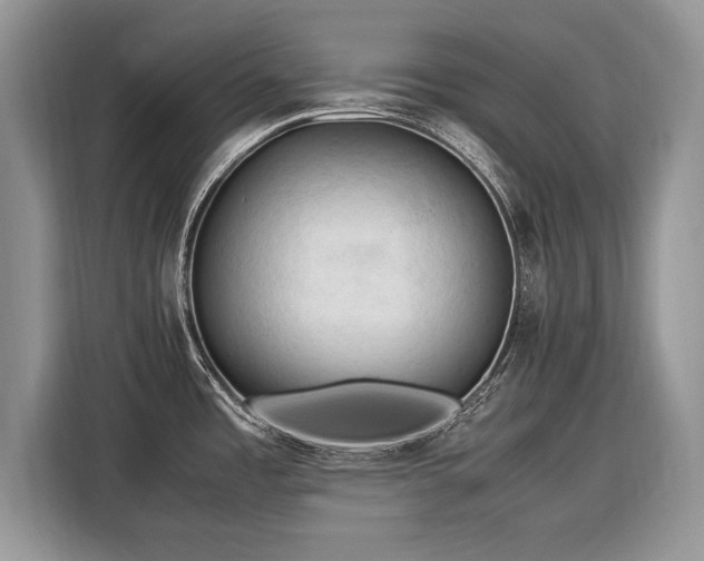 X0000116371485200912091227
